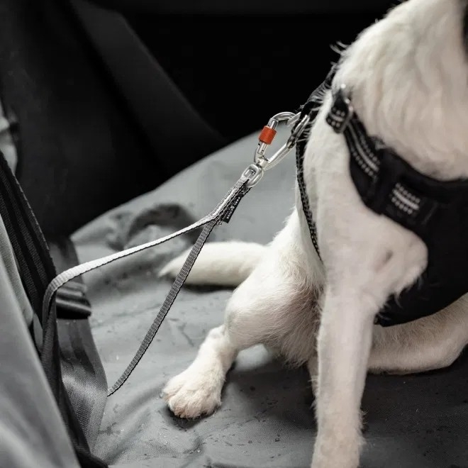 Feel Active Car Heavy Duty turvavöörihm L - Tootepilt 3