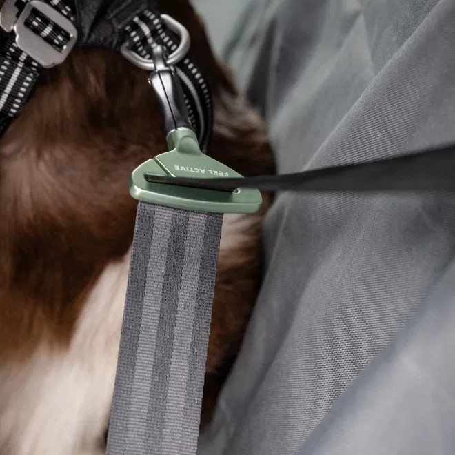 Feel Active Car turvavöö ohutusaas - Tootepilt 2