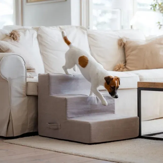 Basic Home trepp lemmikloomale 64x45x45 cm - Tootepilt 3