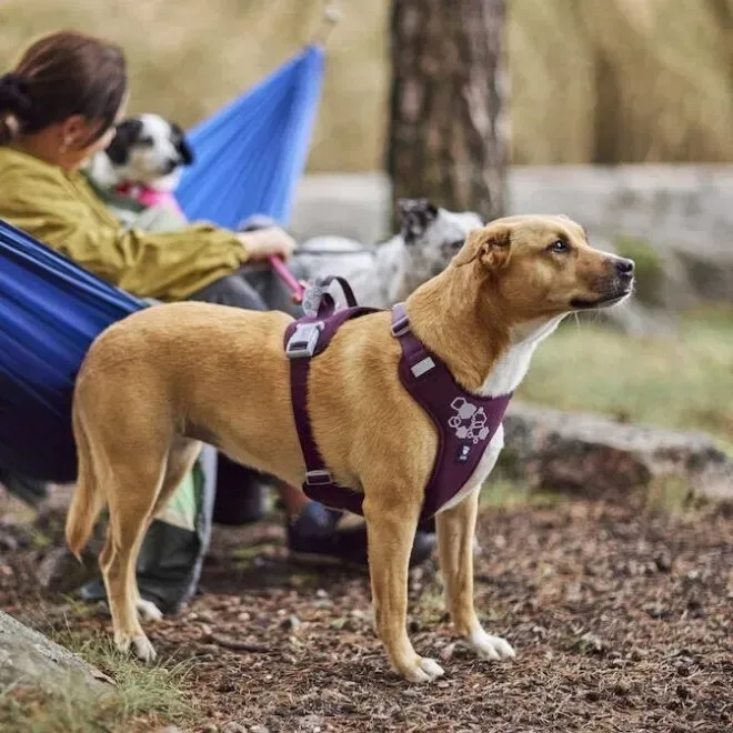 Hurtta Weekend Warrior traksid II ECO 75–100 tumelilla - Tootepilt 5