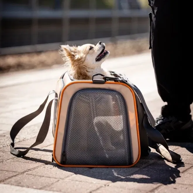 Feel Active Tour kandekott beež - Tootepilt 4