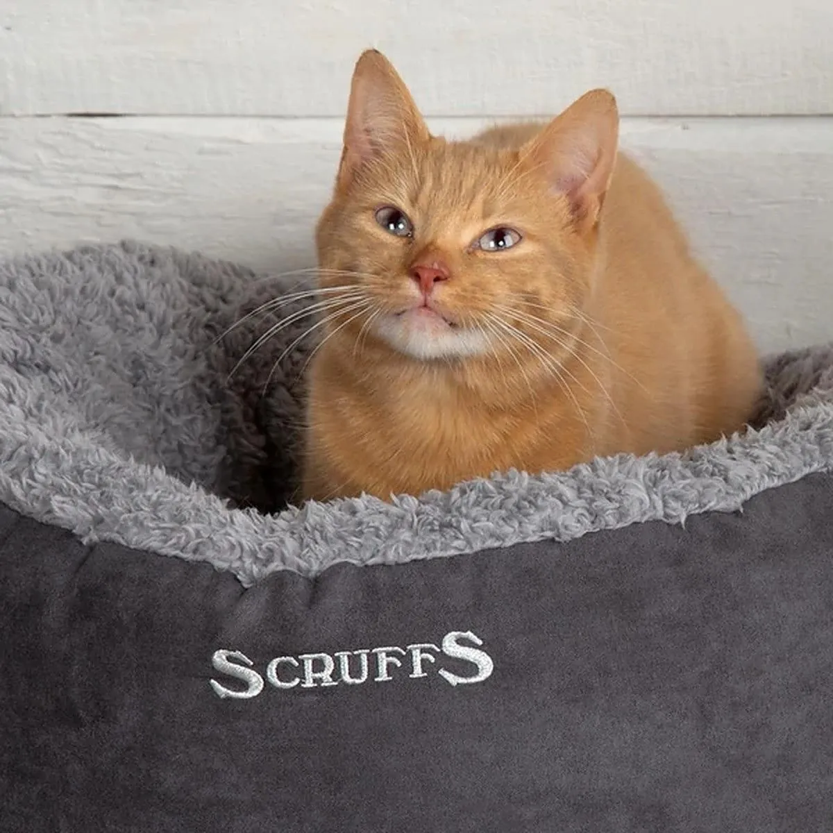 Scruffs Cozy kassipesa, 45 cm, hall - Tootepilt 2