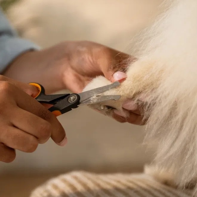 Fiskars kumera otsaga käärid - Tootepilt 3