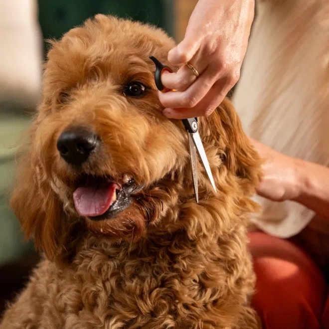 Fiskars lõikuskäärid - Tootepilt 3