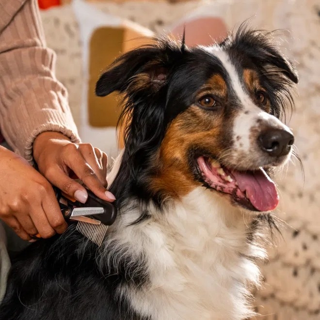 Fiskars ühepoolsed harvenduskäärid - Tootepilt 2