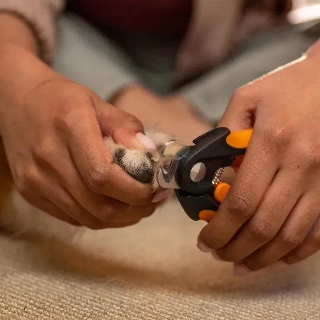 Fiskars suured küünetangid - Tootepilt 2