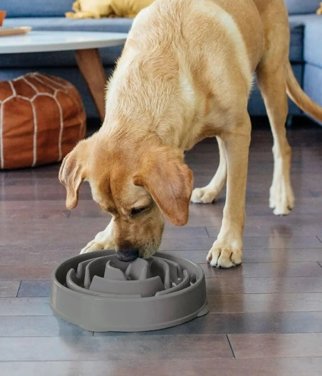 Outward Hound Fun Feeder kauss aeglaseks söötmiseks, M, hall - Tootepilt 3
