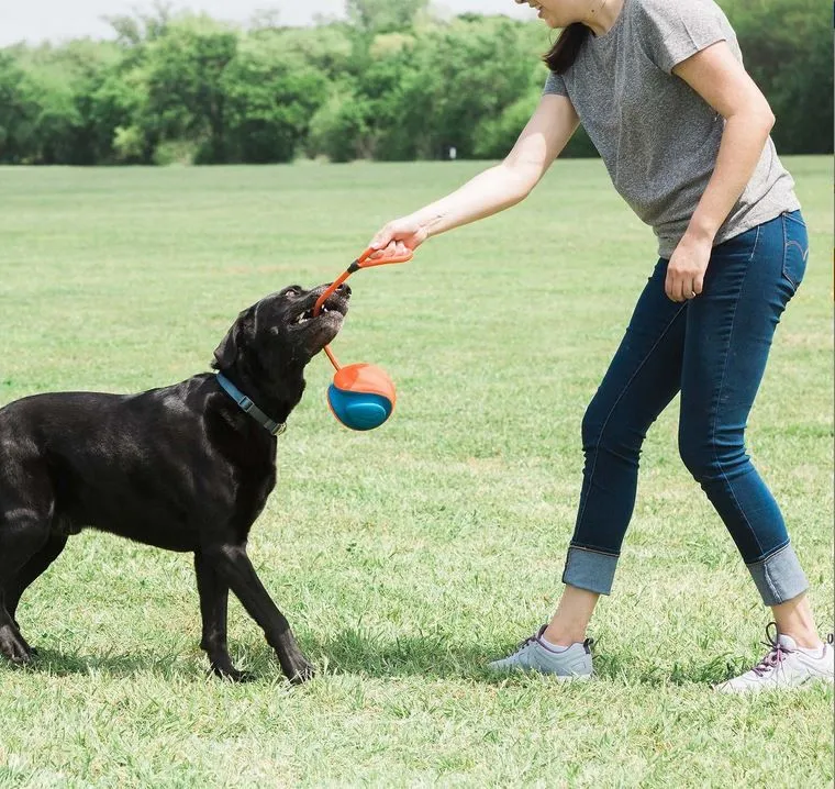 Chuckit Rope Fetch, mänguasi koerale - Tootepilt 3