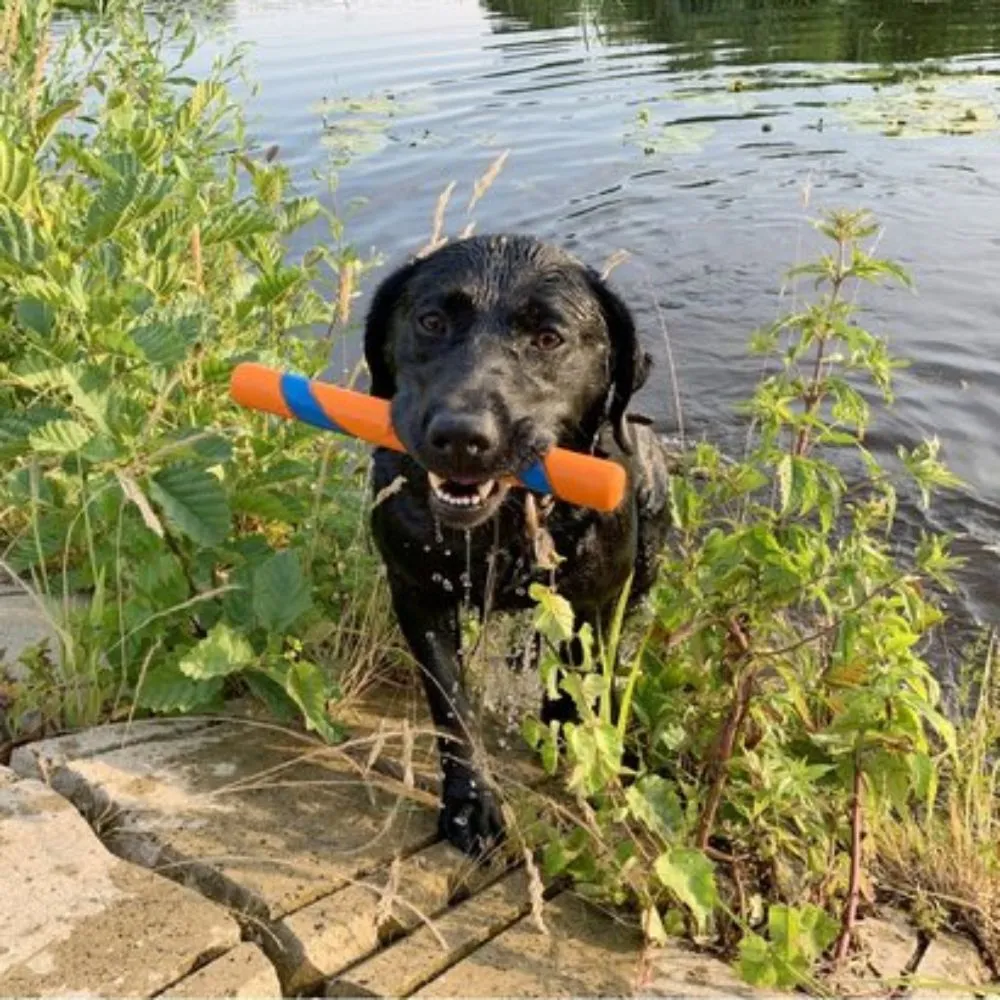Chuckit Ultra Fetch pulk, koera mänguasi - Tootepilt 3