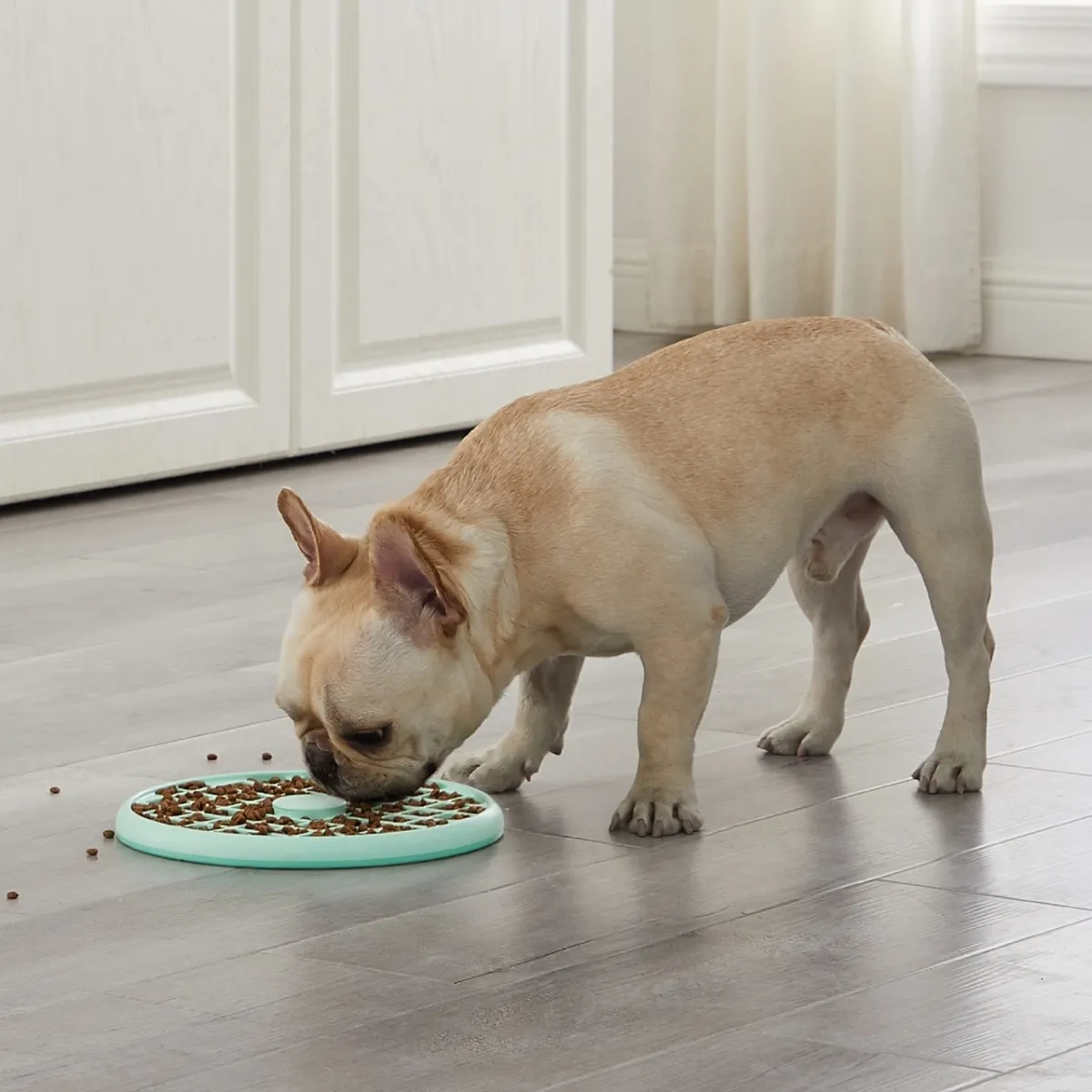 Outward Hound Fun Feeder Slo Tray kauss aeglaseks söötmiseks L, münt - Tootepilt 2