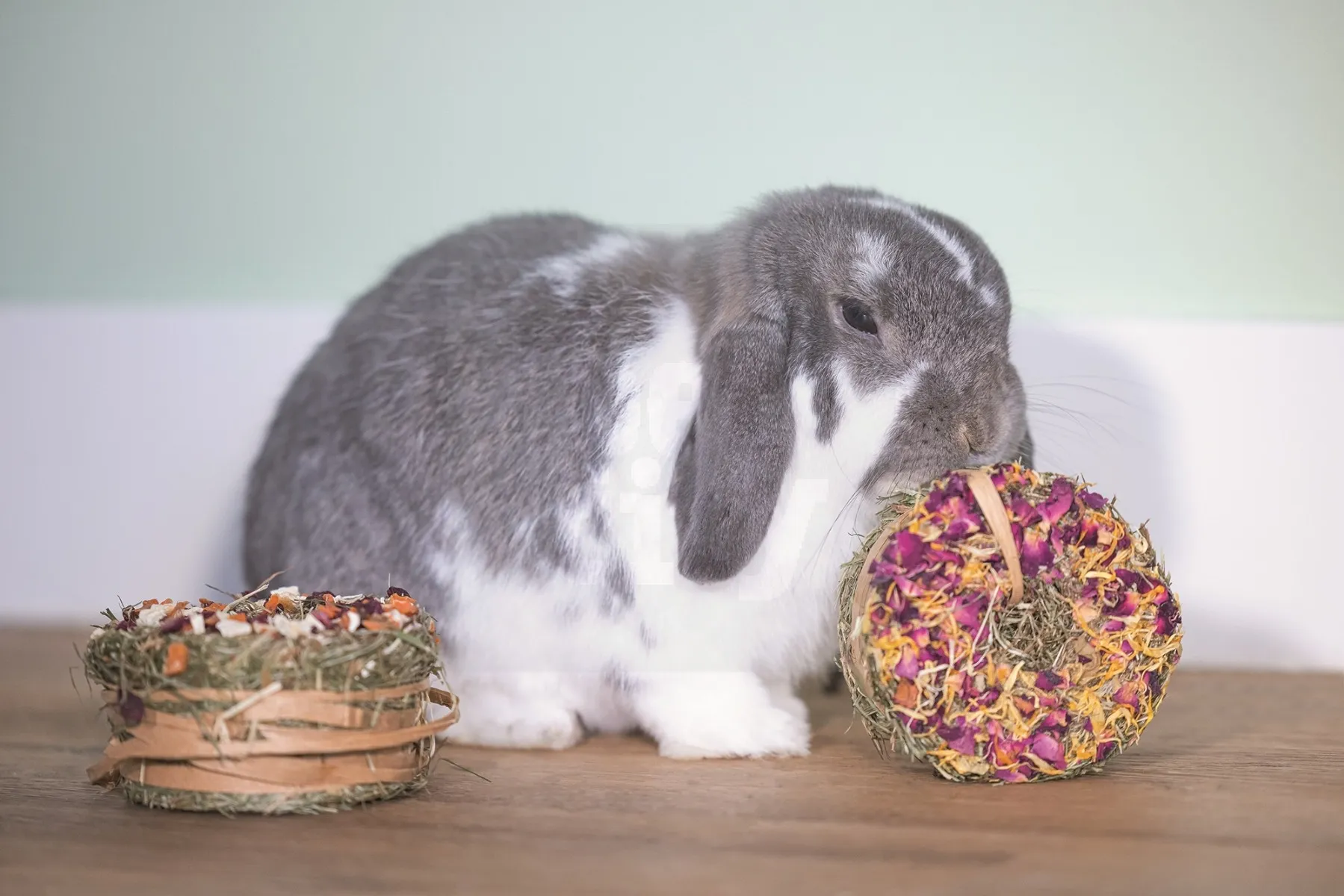 Beeztees väikelooma heinamaius Donut Rose Marigold - Tootepilt 3