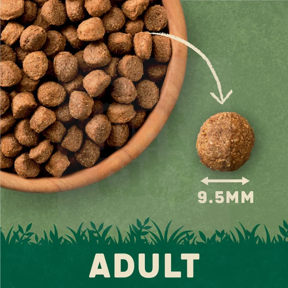 Harringtons Complete koera täistoit lamba ja riisiga, 1,7 kg - Tootepilt 5