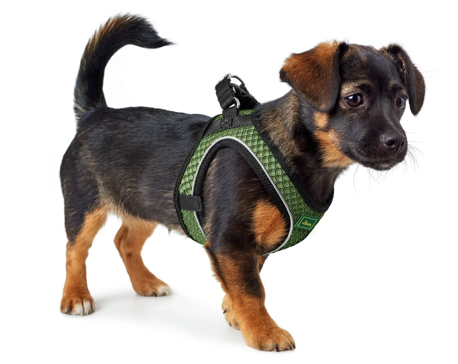 Hunter Hilo Comfort koera traksid S, roheline - Tootepilt 3