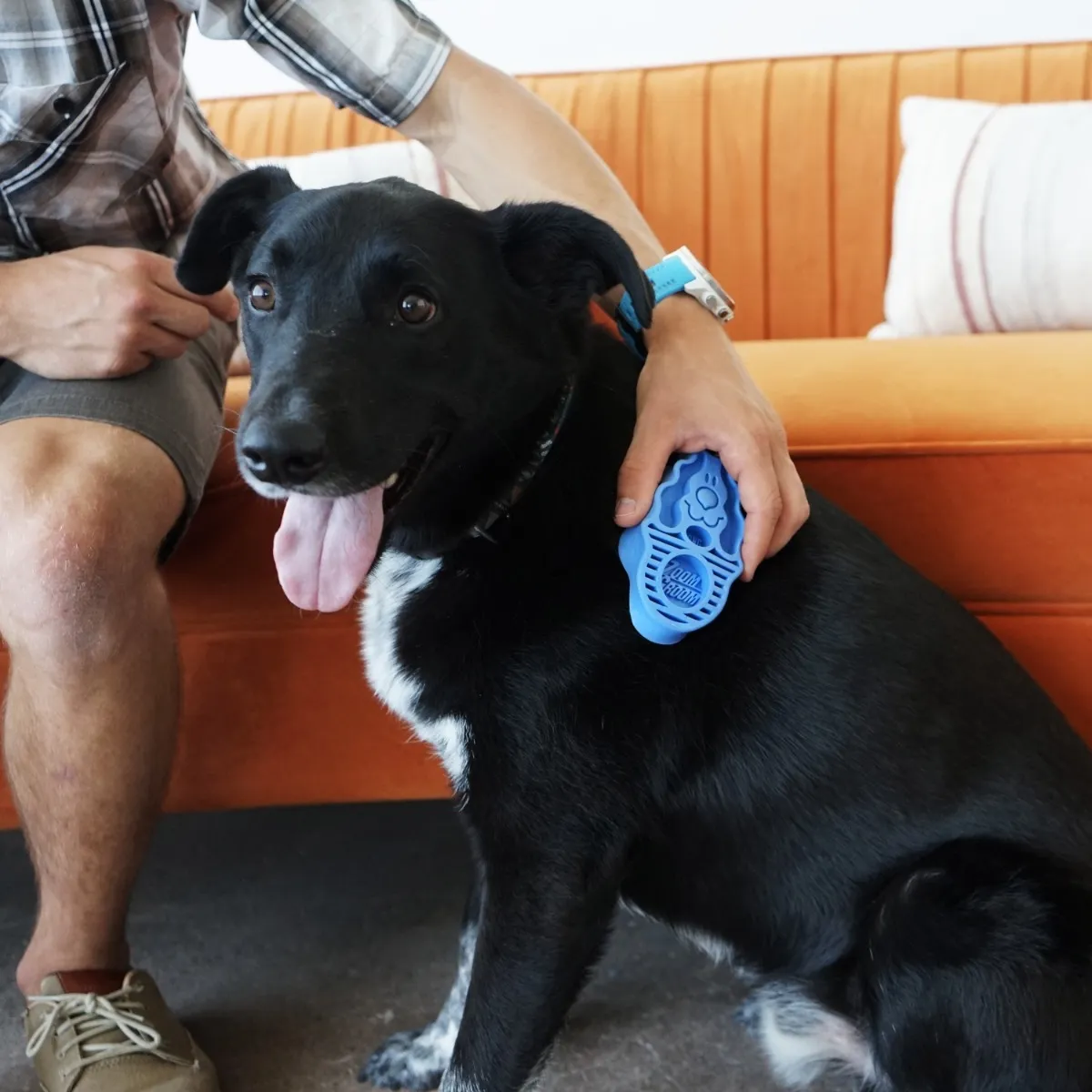 KONG Zoomgroom Boysenberry hari - Tootepilt 4