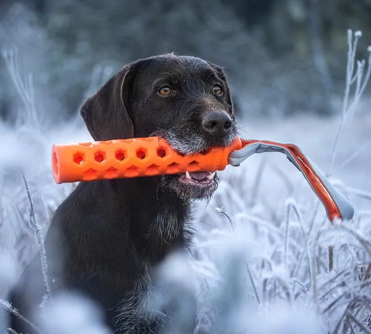 N-Gage koera mänguasi, Active Bumper, S, oranž - Tootepilt 3