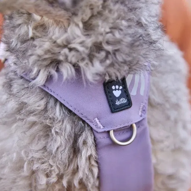 Hurtta Seeker traksid, lavendel, 35–45 - Tootepilt 5