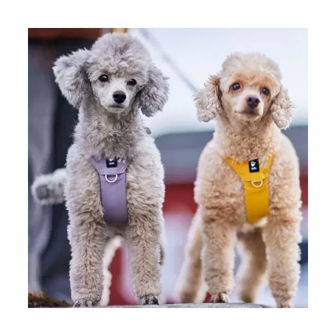 Hurtta Seeker traksid, lavendel, 45–60 - Tootepilt 5