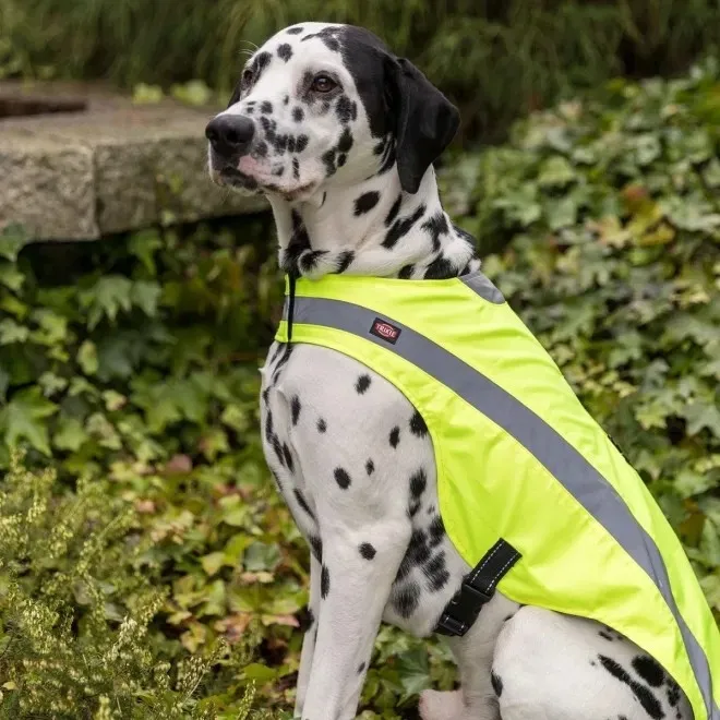 Trixie Safety helkurvest, S - Tootepilt 3