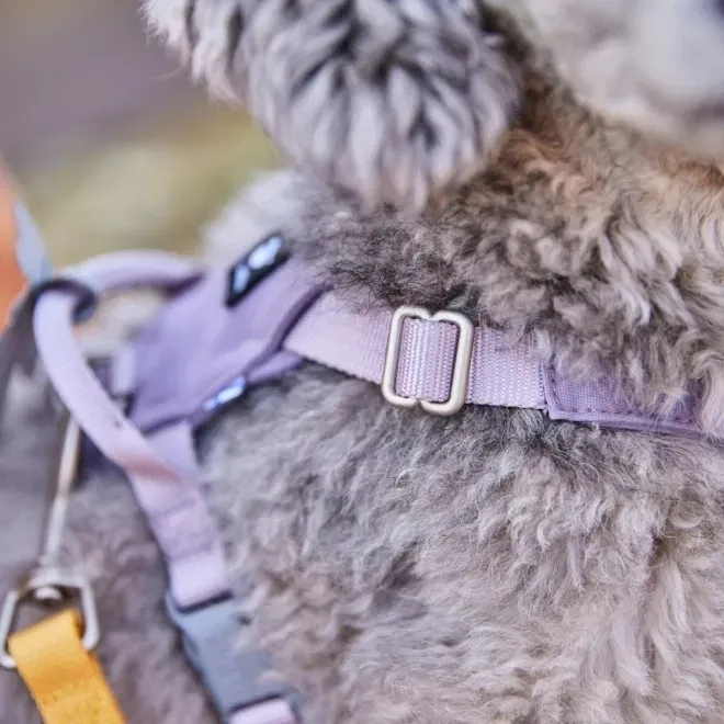 Hurtta Seeker traksid, lavendel, 45–60 - Tootepilt 3