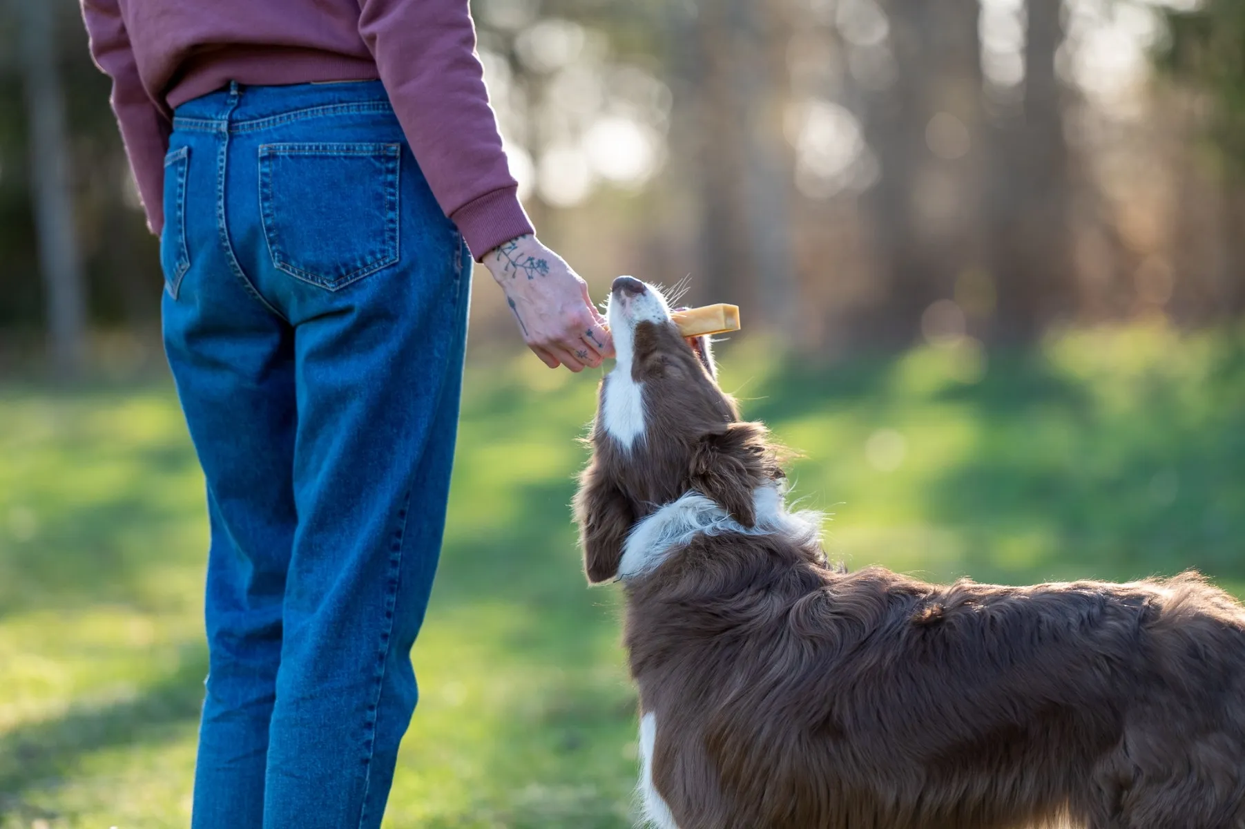 EFFE CHEWS JUUSTUPULK L 1 TK - Tootepilt 3