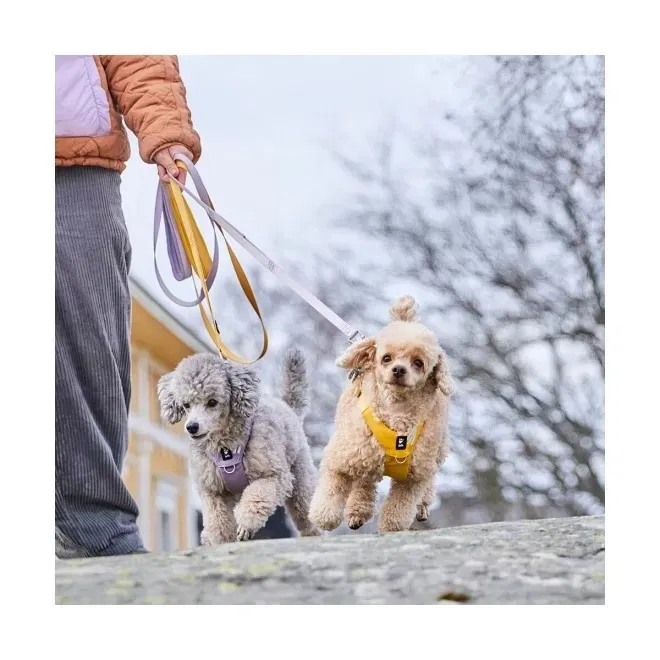 Hurtta Seeker Standard jalutusrihm lavendel 1,5 x 180 cm - Tootepilt 2