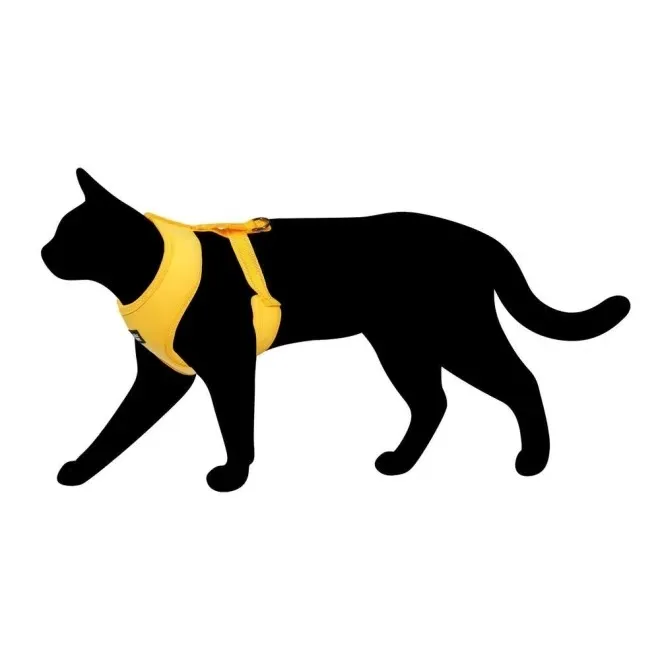 Rukka Catti Comfort kassi traksid, kollane, M - Tootepilt 2