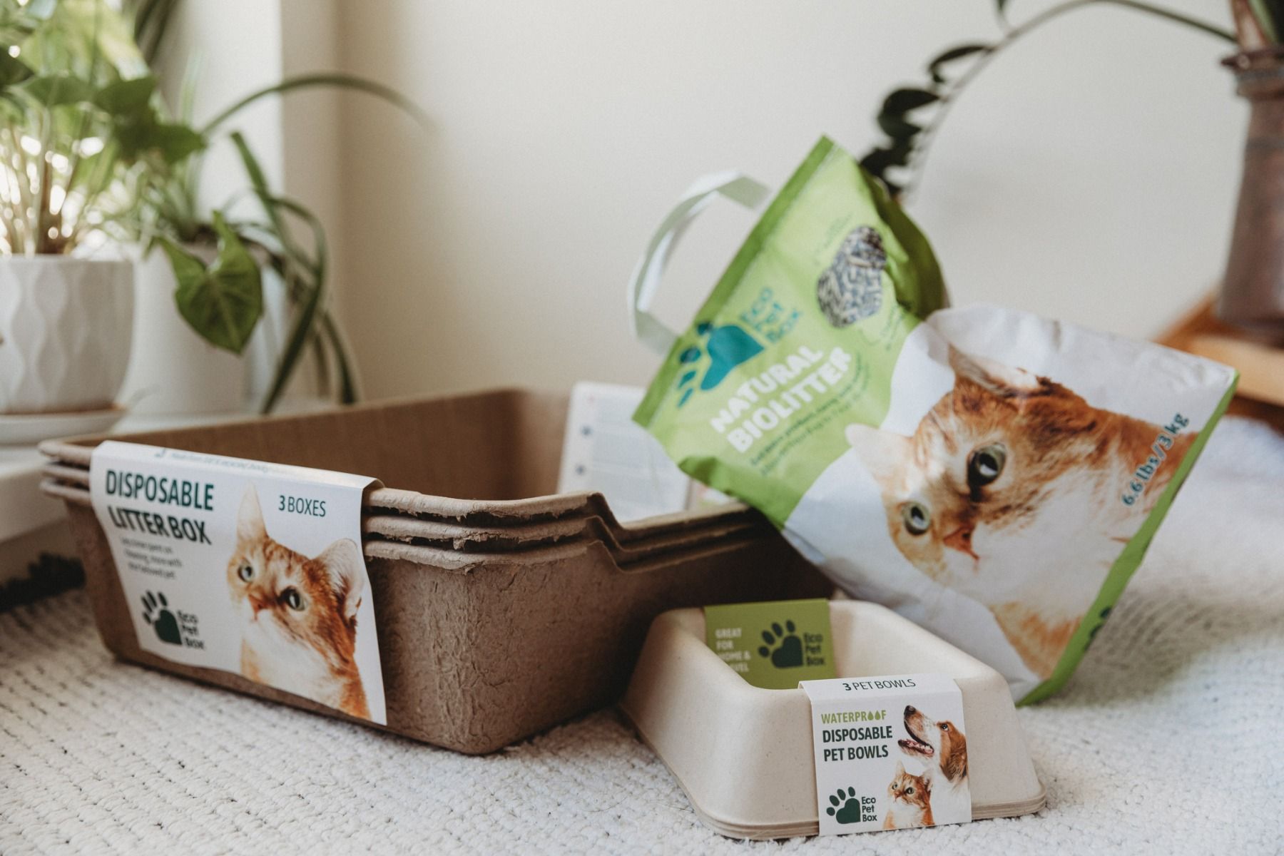Eco Pet Box kassiliiv 3 kg