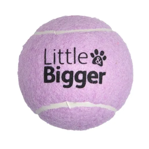 Little&Bigger Tennis koera mänguasi, piiksuv pall, lilla, M