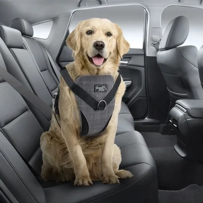 All For Paws Travel Dog koeratraksid L - Tootepilt 2