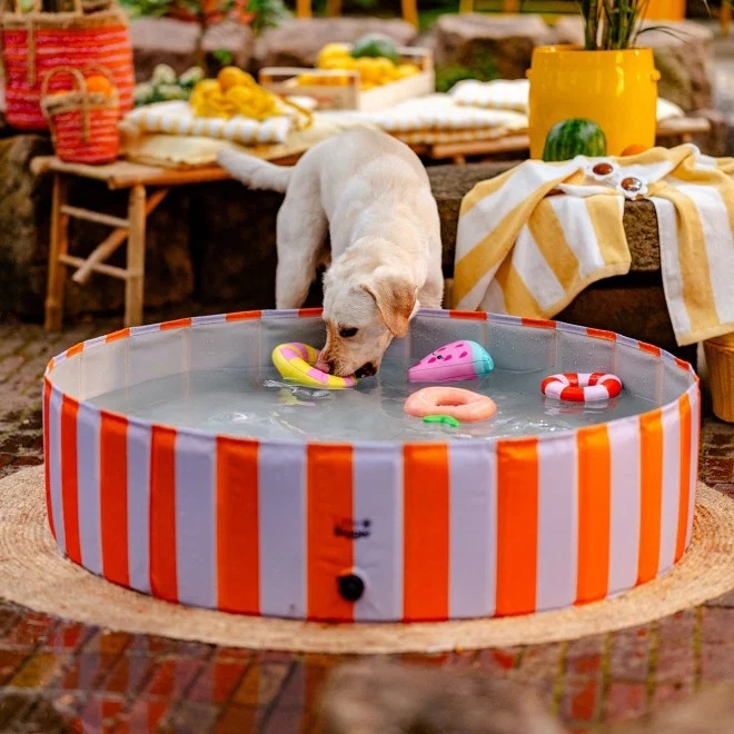 L&B HotSummer bassein lilla ja oranž 120 cm - Tootepilt 2