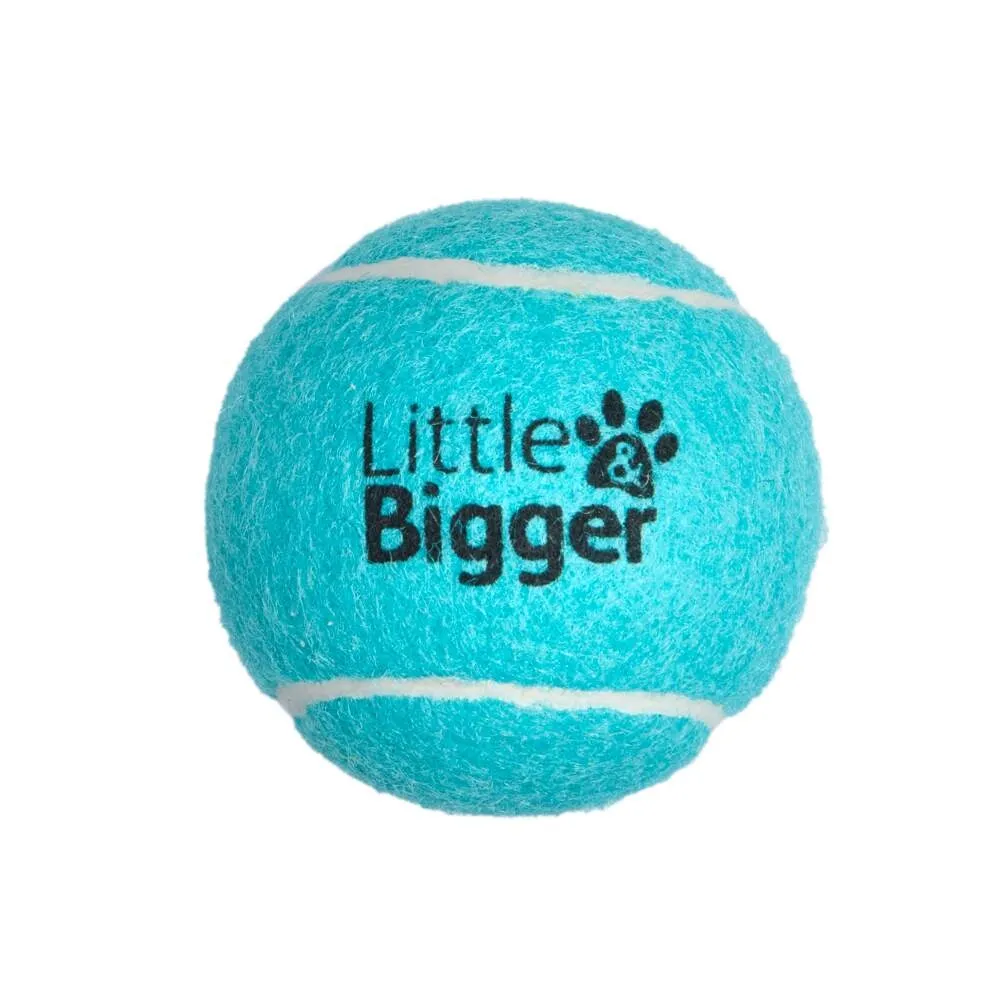 Little&Bigger Tennis koera mänguasi, piiksuv pall, türkiis, S - Tootepilt 2
