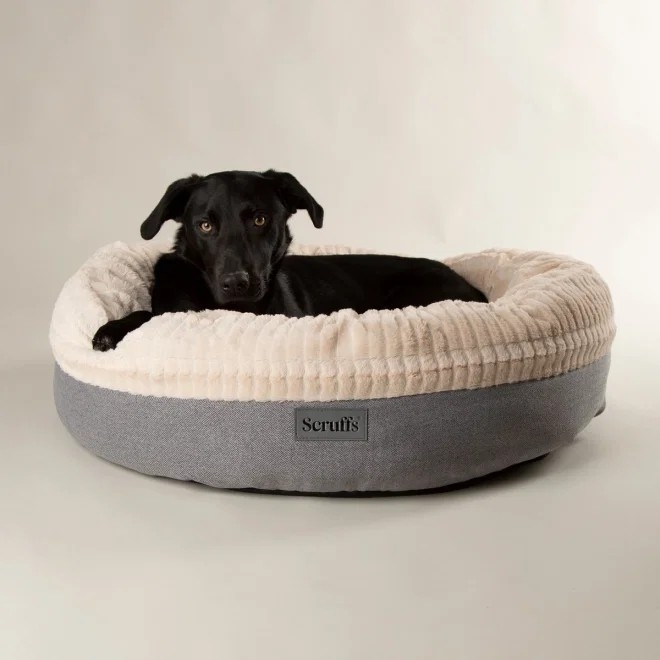 Scruffs Ellen rõngaspesa helehall 55cm - Tootepilt 2