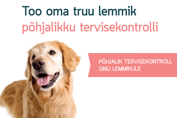 Lemmiku põhjalik tervisekontroll