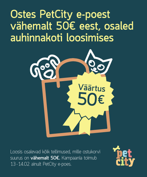 Sõbrapäev