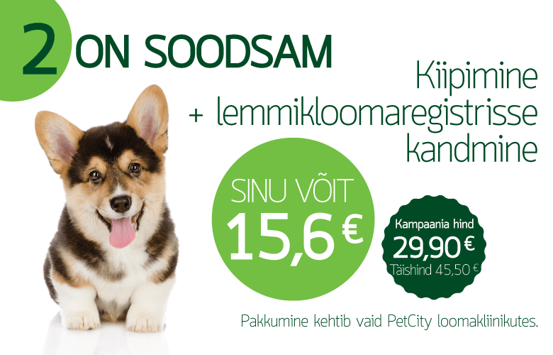 mikrokiip soodsalt