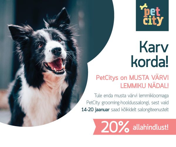 Musta lemmiku nädal