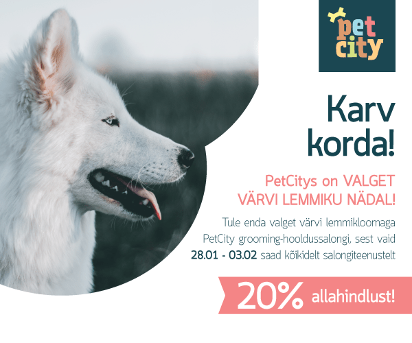Valge lemmiku nädal