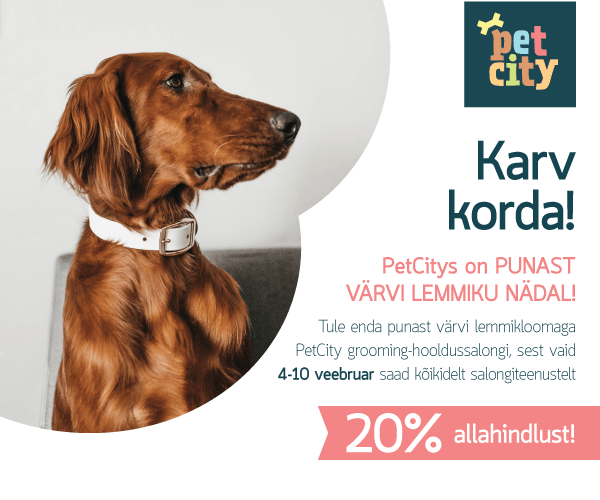Punase lemmiku nädal