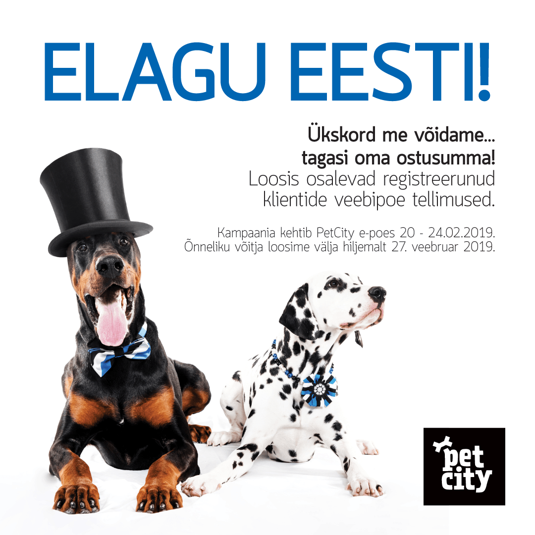 Võida ostukorv tagasi