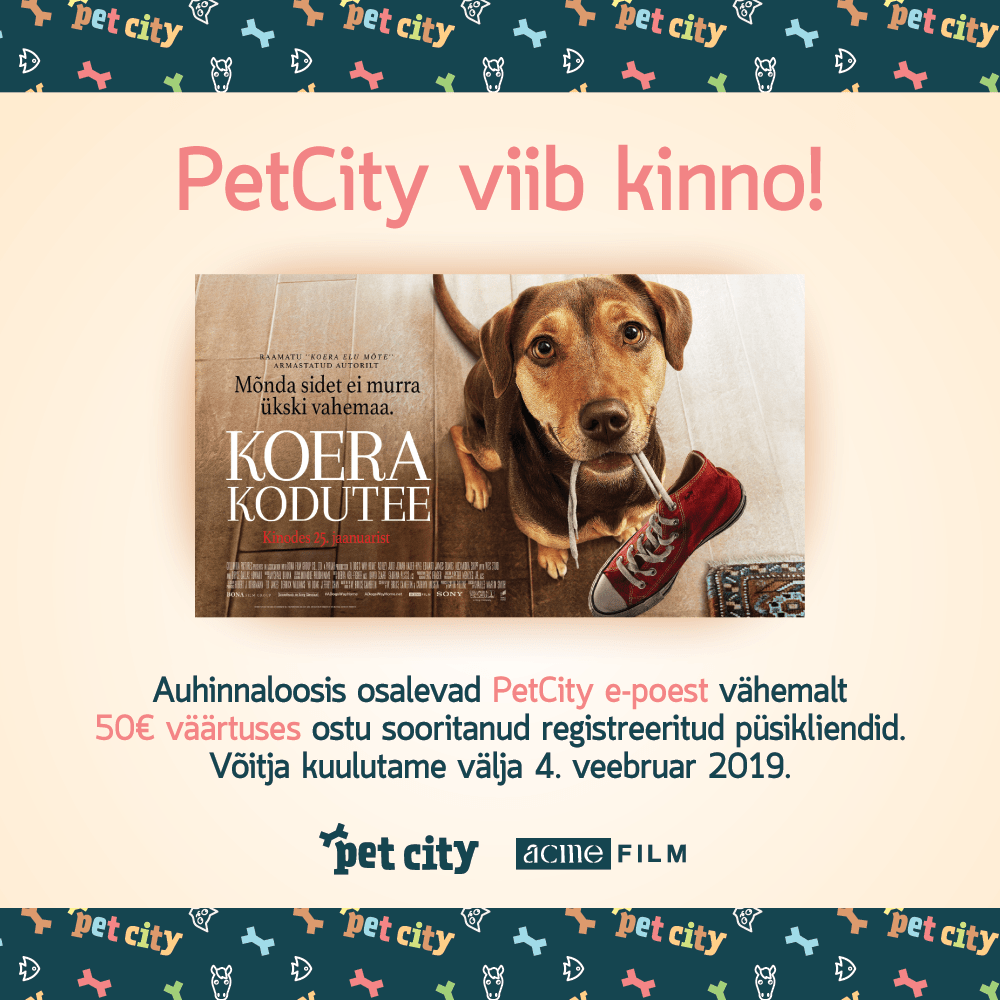 Koera kodutee