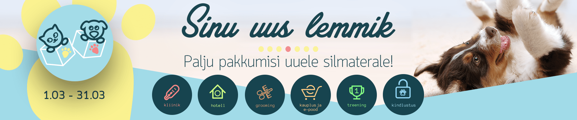 Sinu uus lemmik Sinu uus lemmik