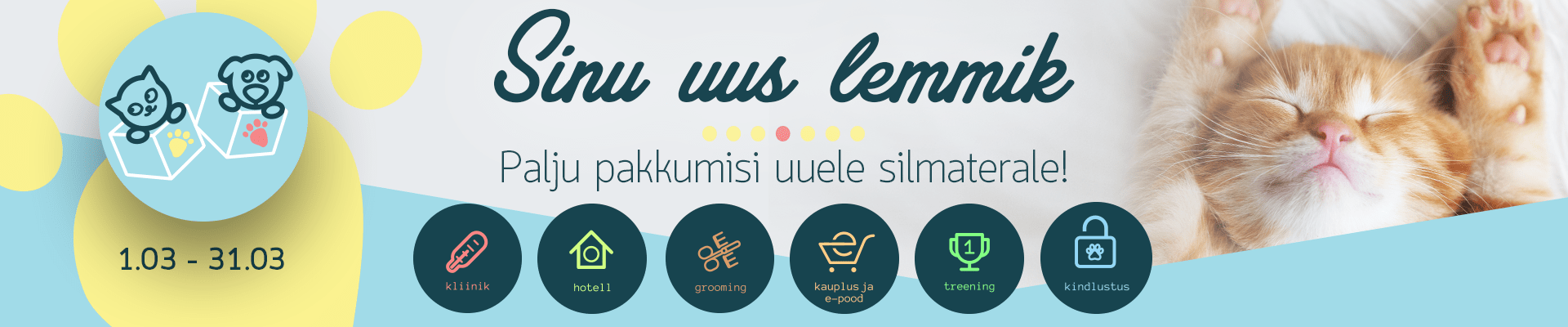 Sinu uus lemmik
