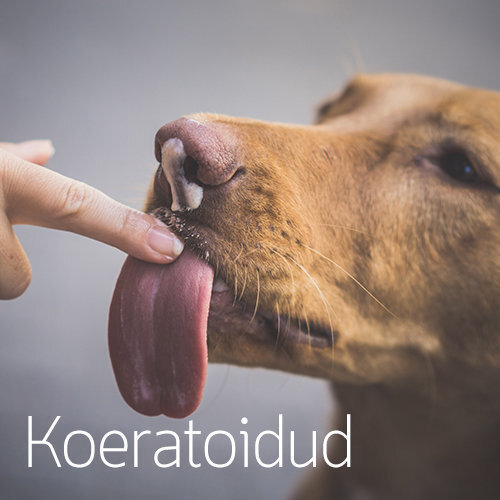 Koeratoidud