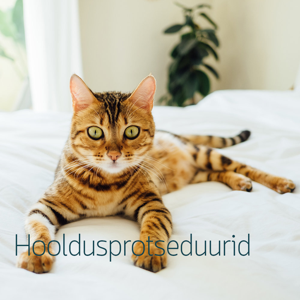 Hooldusprotseduurid