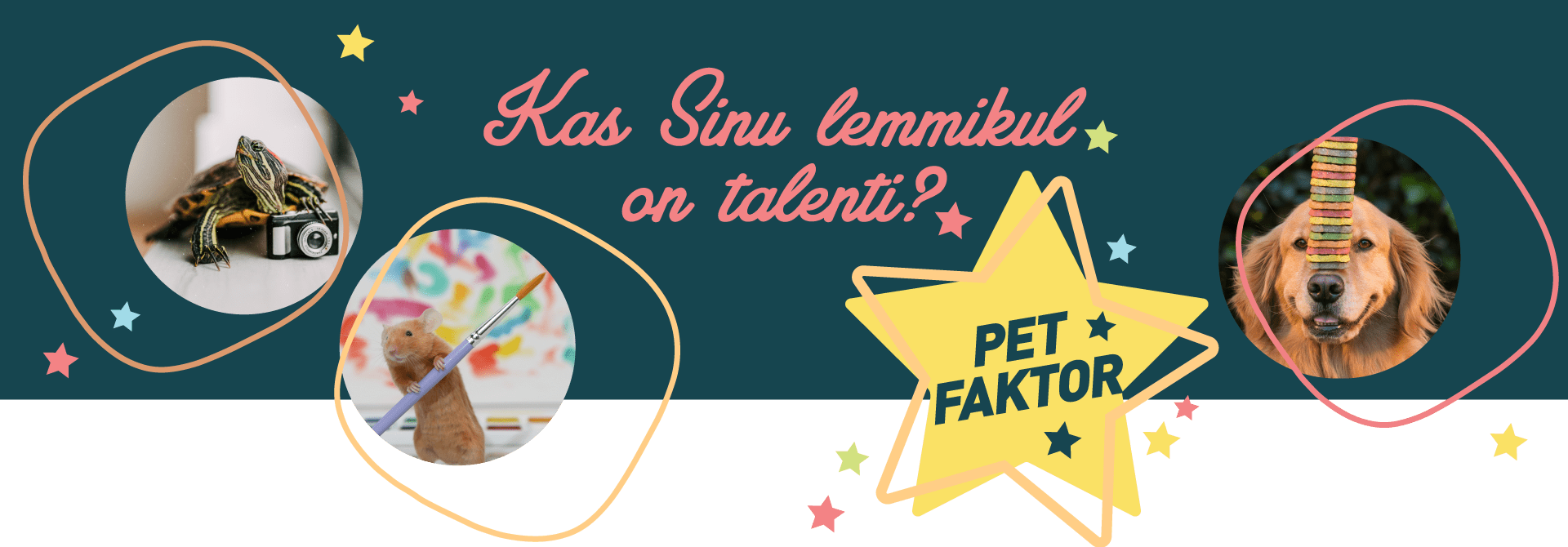 PetFaktor lemmikloomade talendivõistlus - Osale!