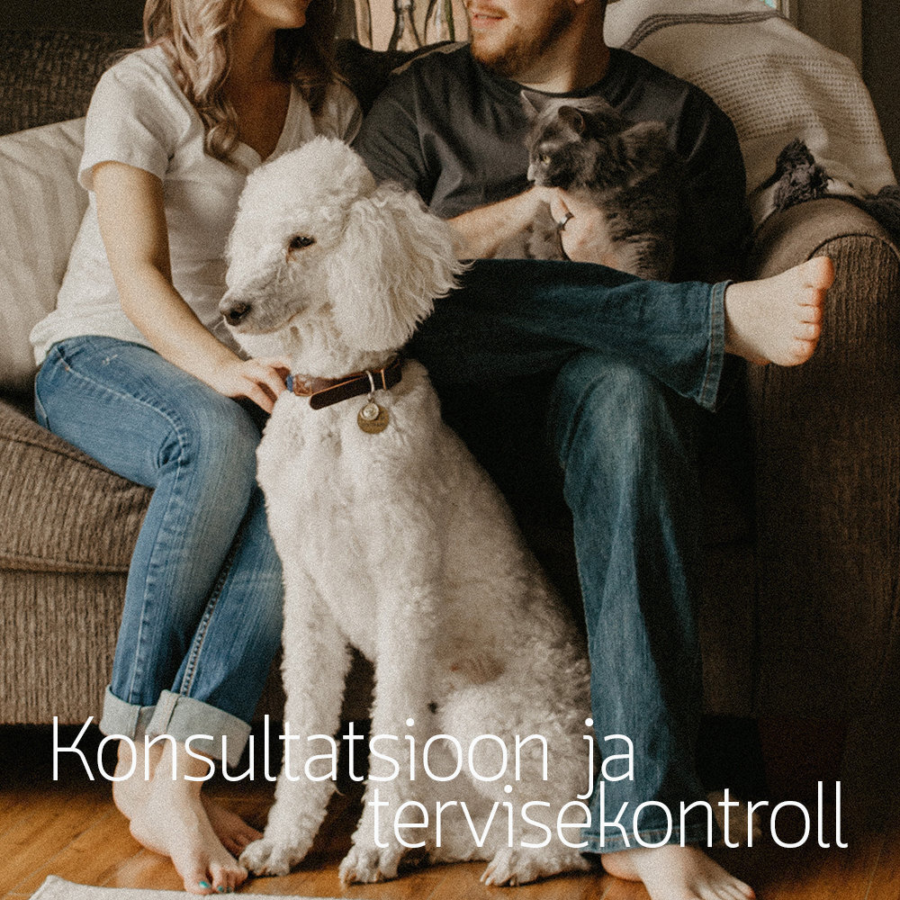 Konsultatsioon ja tervisekontroll