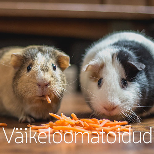 Väikeloomatoidud